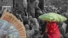 'پاکستان مہنگائی میں سری لنکا سے بھی آگے: 'لوگ اب درختوں کے پتے کھائیں گے
