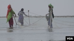 ضلع سجاول کی تحصیل جاتی کی ساحلی پٹی پر آباد  کئی گوٹھ ماہی گیروں سے آباد ہیں اور ان گوٹھوں کی خاص بات یہ ہے کہ یہاں لگ بھگ ایک سو سے زائد خواتین ماہی گیری کے پیشے سے وابستہ ہیں۔