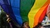 'فیصلے نے دل توڑ دیے؛' بھارت میں ہم جنس پرست عدالتی حکم پر افسردہ