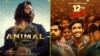 فلم فیئر 2024: 'بارہویں فیل' اور 'انیمل' نمایاں، شاہ رخ خان کی فلمیں کوئی بڑا ایوارڈ نہ جیت سکیں