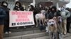 جنوبی کوریا: کتوں کا گوشت کھانے اور فروخت کرنے پر پابندی کا قانون منظور