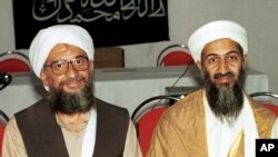 الظواہری کا شمار القاعدہ کے بانی اسامہ بن لادن کے انتہائی قریبی ساتھیوں میں کیا جاتا تھا۔