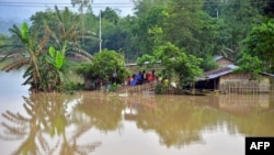 Hình ảnh ngập lụt tại một ngôi làng ở Ấn Độ.
