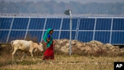 Một trạm phát điện mặt trời ở bang Assam, Ấn Độ, năm 2022.