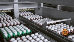 امریکہ میں انڈوں کی قیمت بلند ترین سطح پر، اسمگلنگ شروع