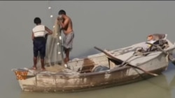 دریائے سندھ میں پانی کی کمی کی وجہ سے ماہی گیر پریشان
