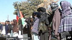 امریکہ طالبان امن مذاکرات؟