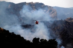 کیلی فورینا کے جنگلات میں کئی مقامات پر آگ لگی ہوئی ہے جو خشک موسم اور تیز ہوا سے پھیل رہی ہے۔