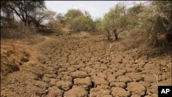 بلوچستان میں بارشوں کی کممی سے زیر زمین پانی کی ذخائر ختم ہورہے ہین اور زمیں بجنر ہوتی جا رہی ہے۔فائل فوٹو