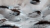 مریخ پر پانی کی موجودگی کا پختہ ثبوت میسر آگیا: ناسا