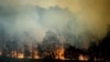 Biến đổi khí hậu ‘đã làm cháy rừng tăng đột biến ở Úc’