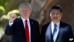Ông Trump và Chủ tịch Trung Quốc Tập Cận Bình trong cuộc gặp hồi đầu tháng Tư ở Florida.