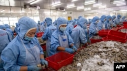 Công nhân tại một nhà máy ở Việt Nam.