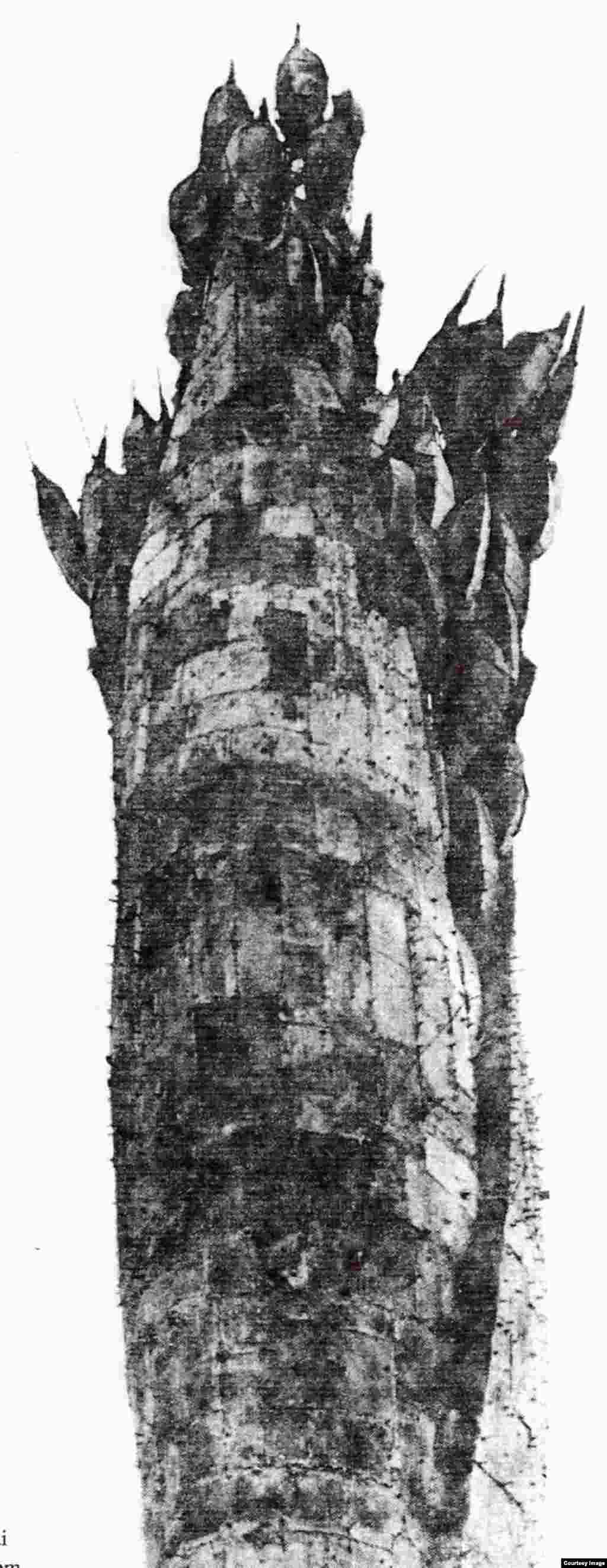  Bông Lúa Con Gái Những mảnh đồng ghép, cao 53 ft tượng ngoài trời Mai Chửng – 1970