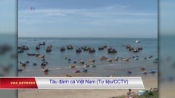 Tàu cá Việt Nam bị Indonesia bắt giữ